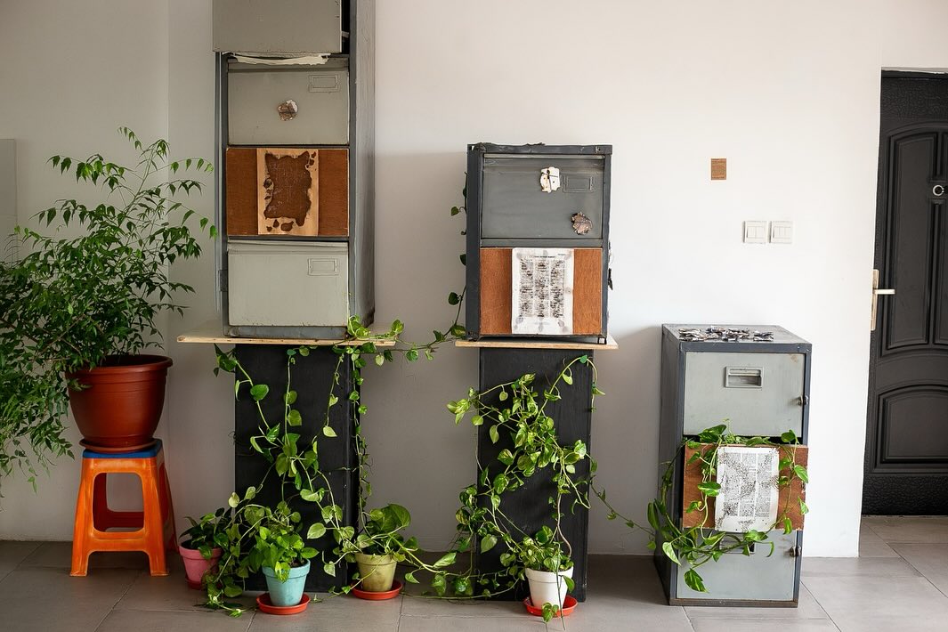Repurposed grey filing cabinets set on plinths with trailing pothos plants and paper inserts inside a gallery space