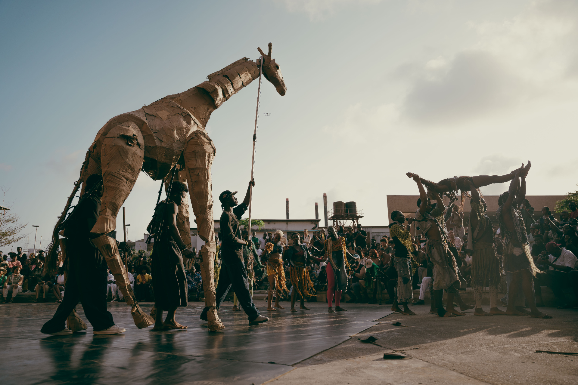 The Herds Lagos